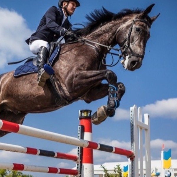 Hipismo